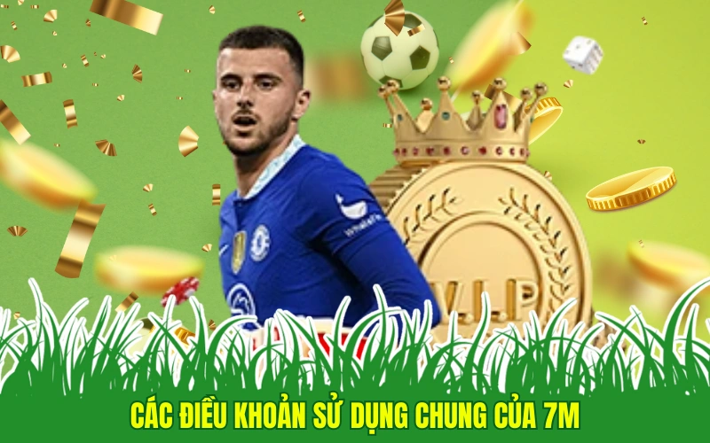 Các điều khoản sử dụng chung của 7M